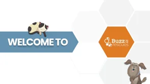 screenshot of Buzz to the Rescues